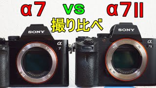 SONY A7ⅡとA7初代 撮り比べてみた 同じスペックだけど同じ写り？