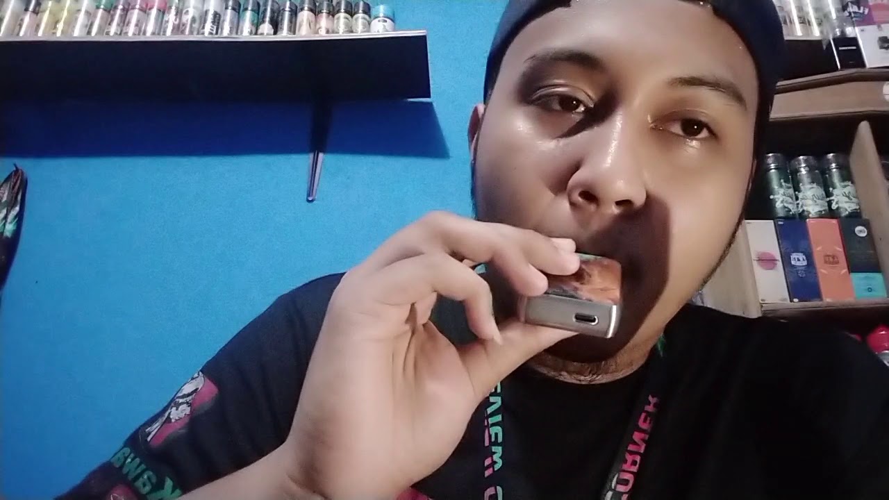 Saltnic Tokyo lychee public distribusion