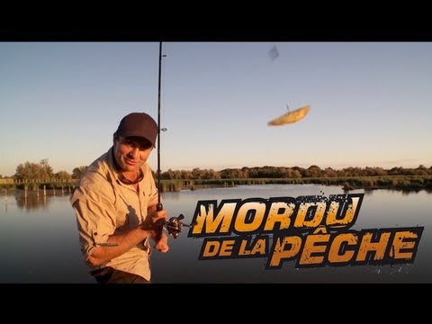De la carpe...À LA FRITE! (France) - Cyril Chauquet
