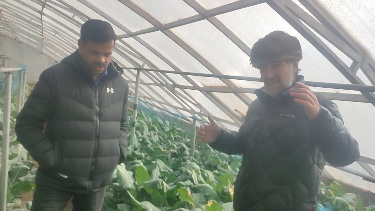 Àrmy dehar Director choraciy 56 APO ladakh