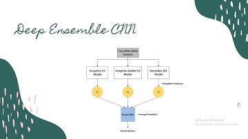Deep Ensemble Learning for Skin Lesions Classification with Convolutional Neural Network