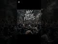 WHY THESE FİGHTS by sahin
