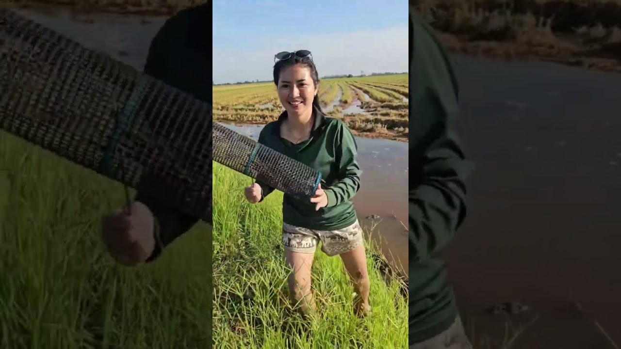 น้องมอยจะไปดักกบขยันจริงๆ😅