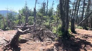 A spring hike up Mount Tecumseh