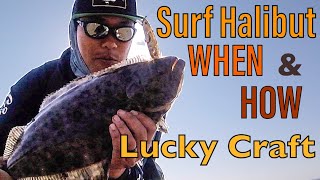 Surf Fishing Halibut  HOW and WHEN to Catch [Lucky Craft]