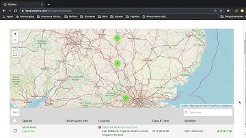 Edit My Observations