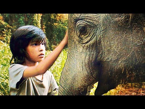 Mon Ami l'Éléphant - Film COMPLET en Français ☆ Familial - Drame ☉