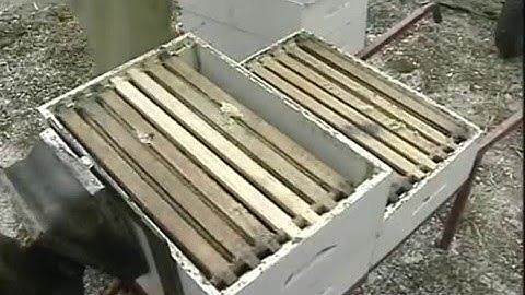 harvesting honey from the hive - Ernte Honig aus dem Bienenstock