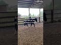 February 21st! #horseriding #viral #equestrian #riding #asthetic #cool #chill #horse #dumb