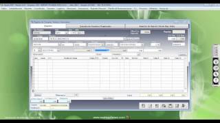 Nexim ERP  Registro de Ventas - Venta de Mercaderias screenshot 2