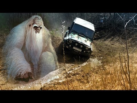 Человек съел автомобиль