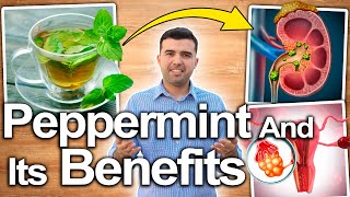 Peppermint Health Benefit for Health and Beauty - What is it for - 100% SCIENTIFIC BASED
