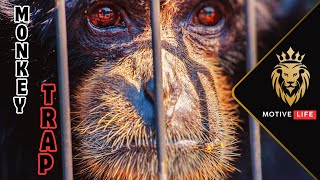THE MONKEY TRAP : A Motivation Lesson in Letting Go