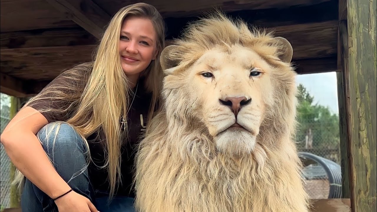 CUDDLING A WHITE LION?!