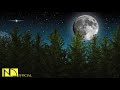 10 Hours Calming Sleep Music 💖 Stress Relief Music, Insomnia, Relaxing Sleep Music (Classic Lullaby)