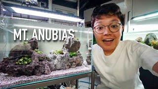 Recreating Mt. Anubias 2.0