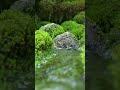 One Scene - One Sound