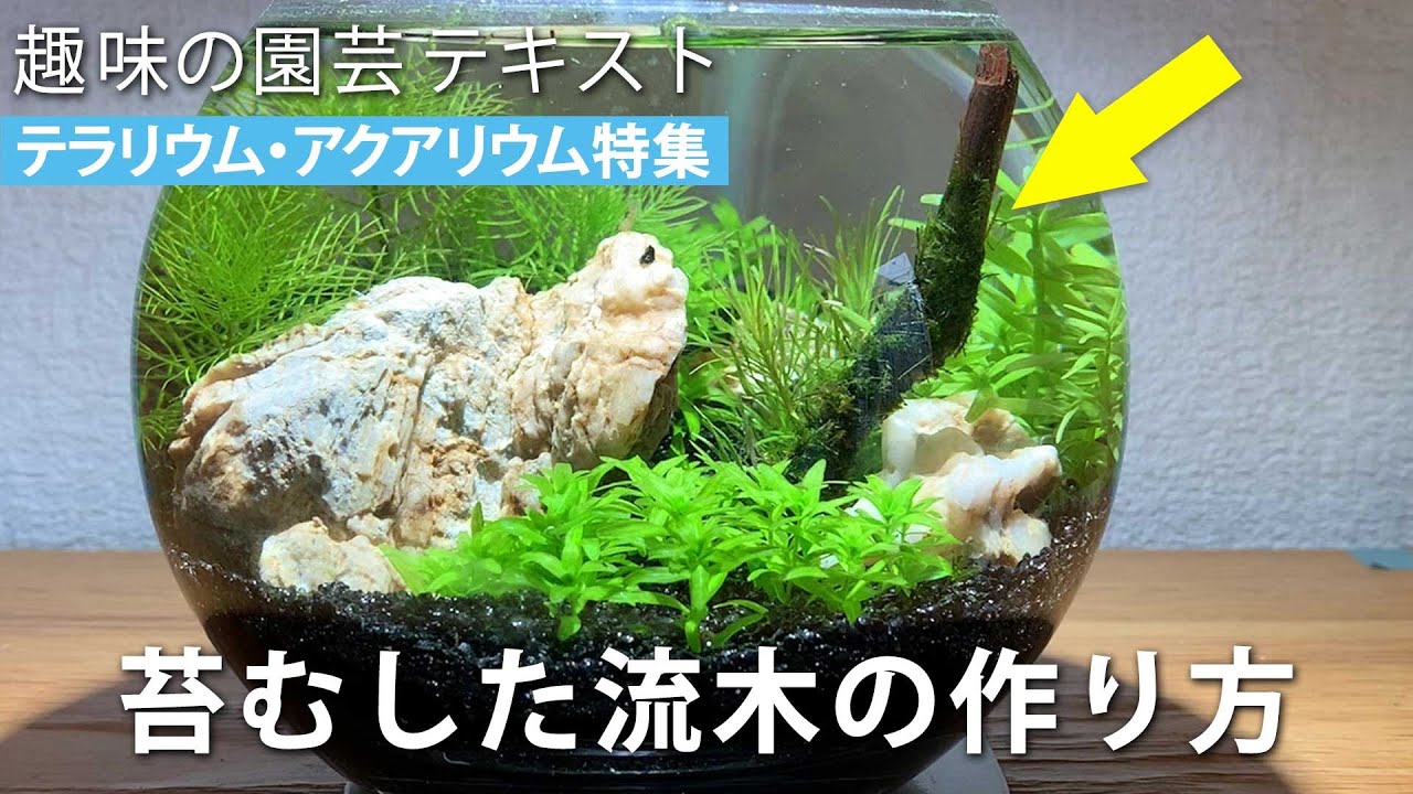 水槽用流木 苔付き 自然な形状 GEX 癒し水景 水草付き流木 ニードル アクアリウム 水槽 人工
