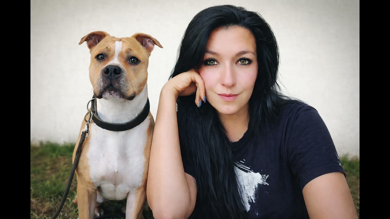 Dino Bee - Pro Týnku (Amstaff)