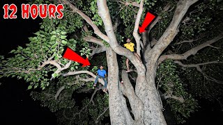 पीपल के पेड़ पर बिताई पूरी रात | Extreme 12 Hour Night On Tree Challenge