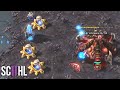 Has' Crazy StarCraft Strategies