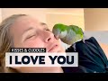 Kisses, cuddles and I Love You - Pluto the Talking Quaker Parrot