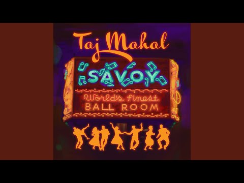 Putar Baby Won't You Please Come Home - Taj Mahal