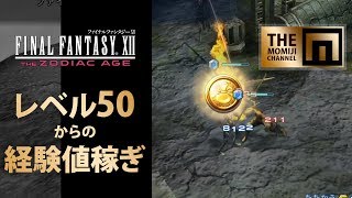 Ff12 Tza レベル50からの経験値稼ぎ 15分で50 60 Youtube
