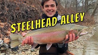 Advanced Tactics for Spin fishing Steelhead Alley