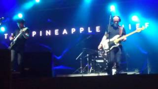 The PINEAPPLE THIEF - Remember Us - BeProg Festival 2016