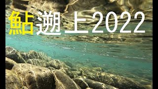 [鮎youtube] 稚鮎の便り 今年も追っかけ開始