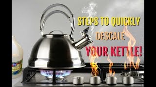 Steps to Quickly Descale Your Kettle - Result Is Affordable and Clean!