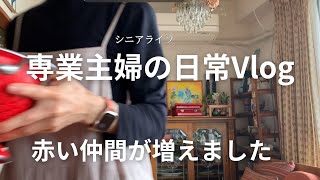 #116　おウチ大好き引きこもり専業主婦のVlog｜夫婦二人暮らし｜Amazonからのお届け物｜赤い仲間の新入り｜イタリアンレッド｜残り物ぼっちランチ｜シニアライフ