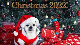 Christmas Songs 2022 New - Top Christmas Songs 2022 - Merry Christmas 2022