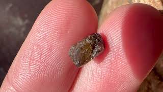 1.69 carat deep brown freeform rough diamond by The Raw Stone sku: KJ2262