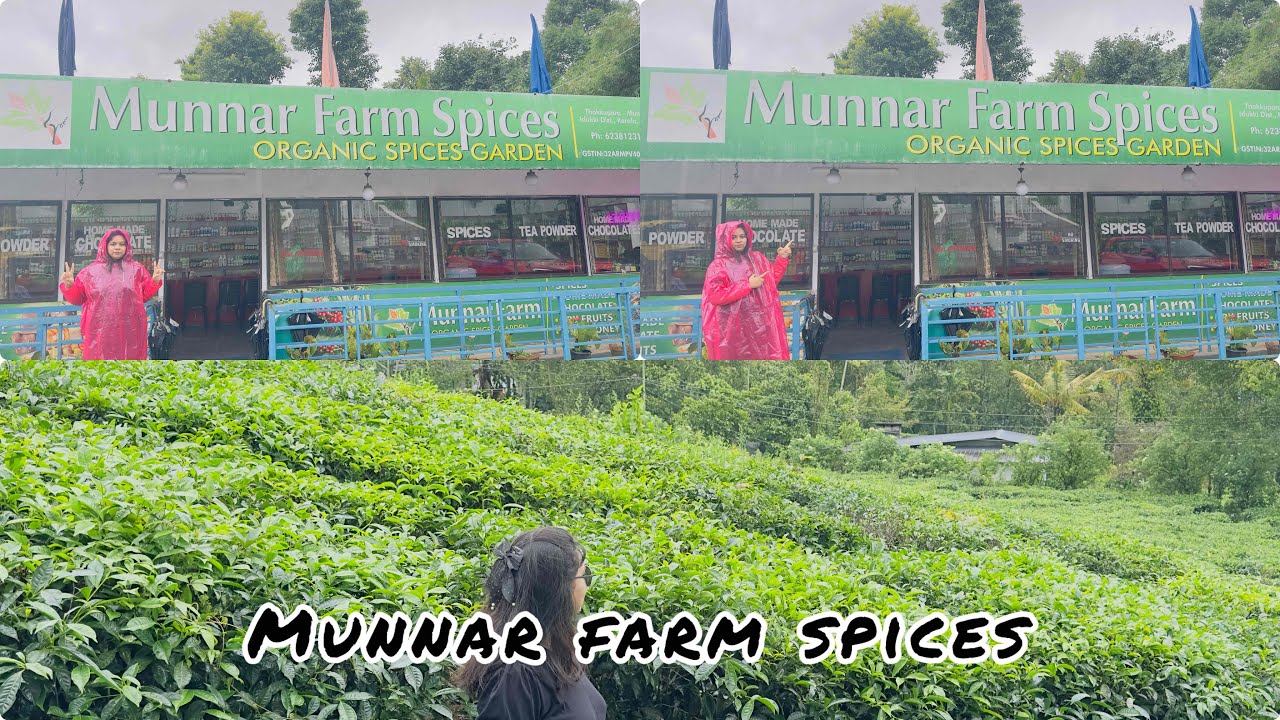 Munnar farm spices,organic spices,Garden,Homemade chocolate 🍫
