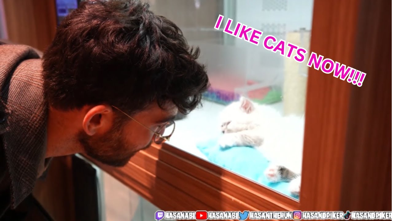 visiting-a-pet-shop-in-japan-youtube