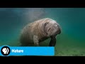 Florida's Environmental Challenges and Diversity