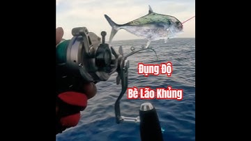 Đụng độ bè lão khủng ở biển PQ | #docaungokhanh #fishing #caucathugian #jigging
