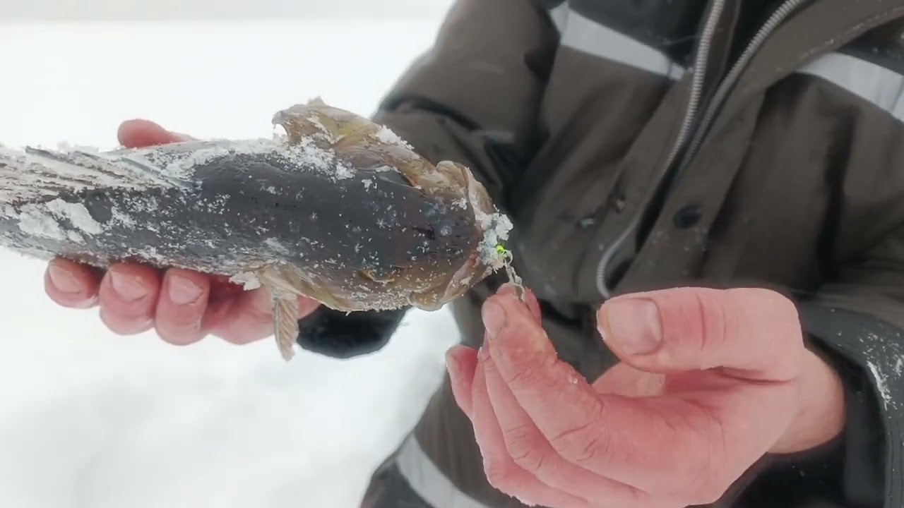 Просто рыбалка