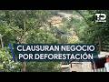 Clausuran negocio de cabañas en la Cola de Caballo por presunta deforestación en Santiago
