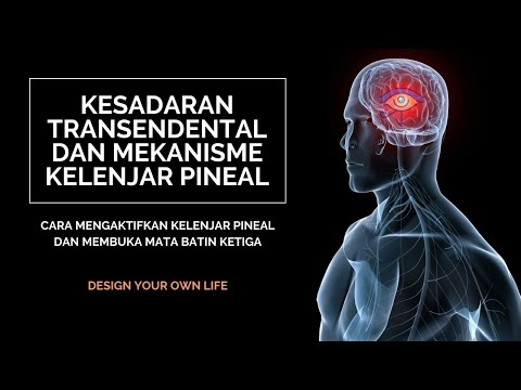 Video: Di manakah meditasi transendental berasal?