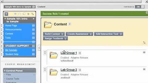 Setting up Groups, Adaptive Release Content, Discussion Board, and Grade Center in Blackboard
