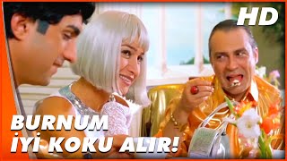 Neredesin Firuze Zengin Bir Tavuk Bulduk Ne Kadar Yolsak Kardır Haluk Bilginer Türk Komedi Film