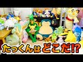 ポケモンだらけの部屋でかくれんぼ！？ポケモンになりきって身を隠せ！男女で透明人間チャレンジ【対決】