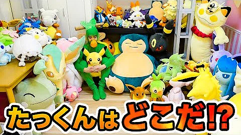 تحميل かくれんぼ ポケモン Mp4 Mp3