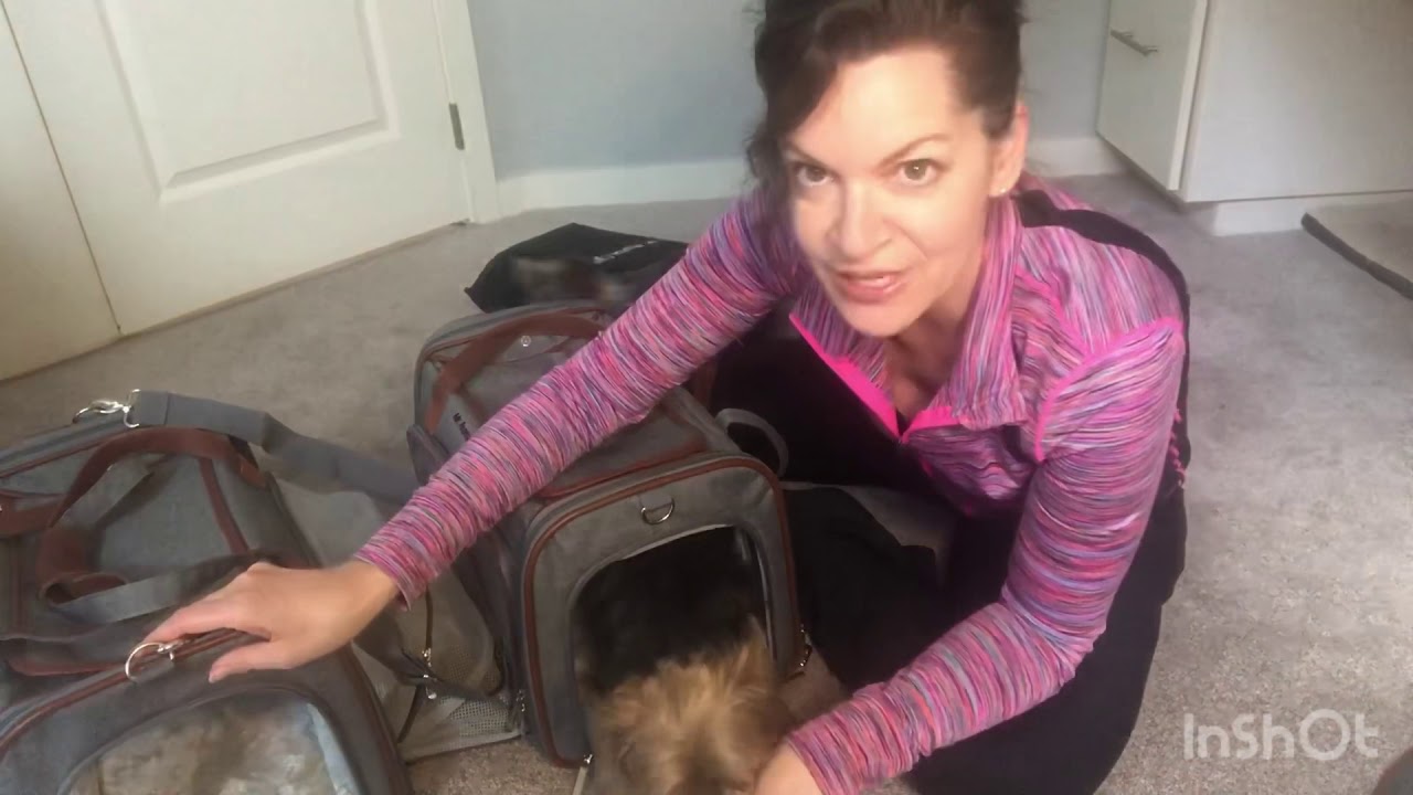 Mr. Peanuts Carrier Review/Features