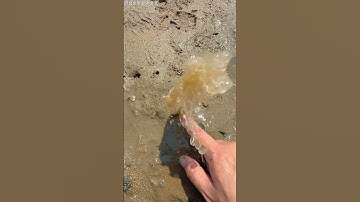 Thấy cái lỗ phun nước nên đã đào lên