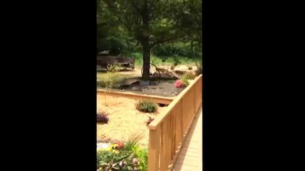 Moore Farms Rustic Weddings Pryor Oklahoma YouTube