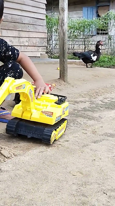 sholawat terbaru 2022 || al qolbu mutayyam #shorts #sholawatviral #djsholawat #excavator